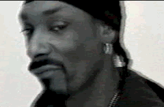 snoop