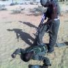 au front
